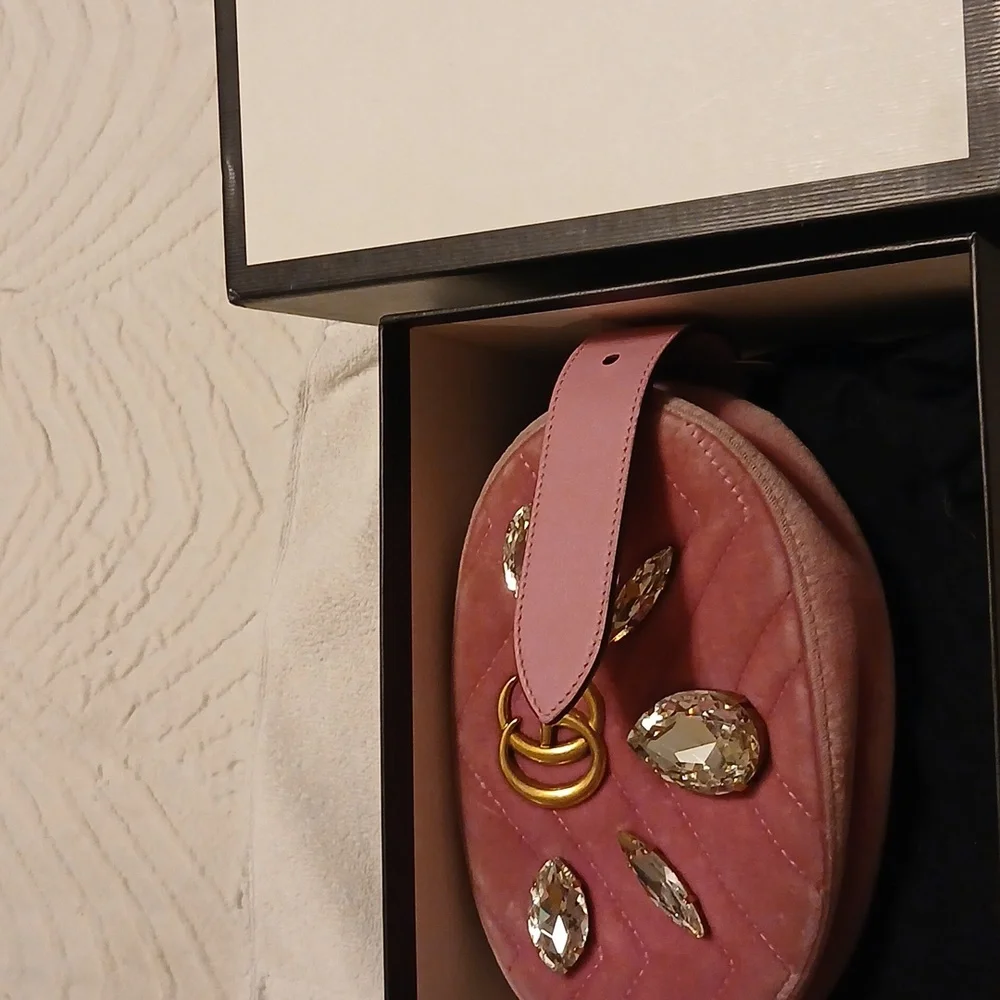 Authentic Gucci Belt Bag - Picture 2 of 8